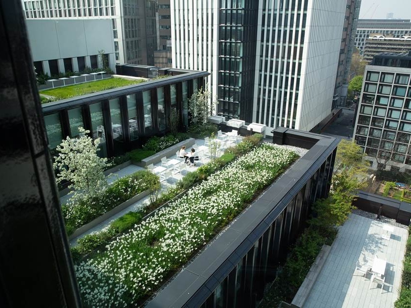 Schroder Investment Management Allnews