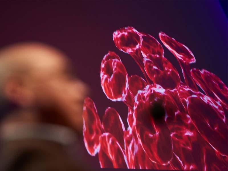 Uber 9000 Besucher Rockten Bei Traumrock Auf Messe Erfurt Leben Ostthuringer Zeitung